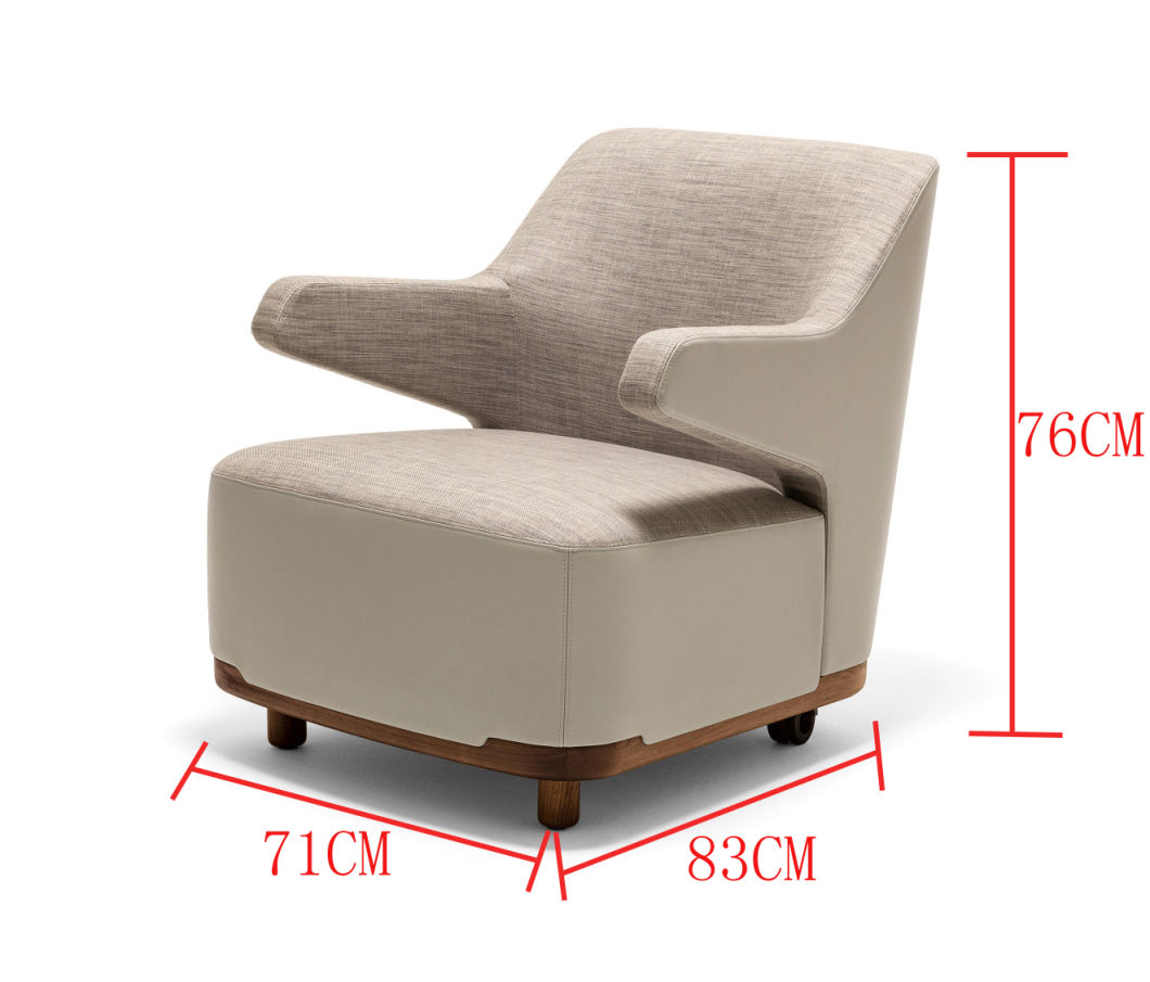 Muebles modernos de la sala de estar de la sala de estar silla