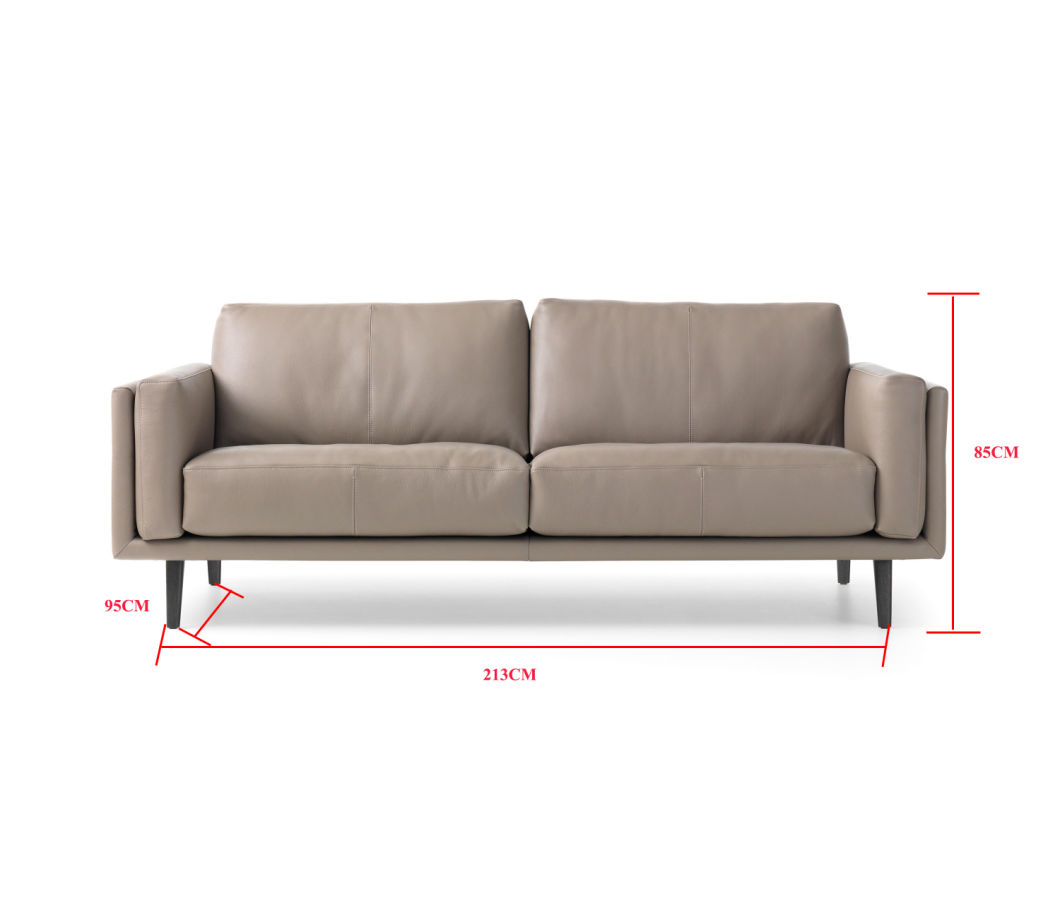 Muebles de la sala de estar moderna Sof&aacute; de cuero simple